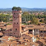 Luccadentro - Centro Storico